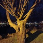 SAISIKO VÄHÄN EMPATIAA