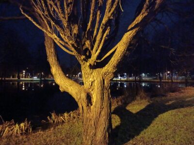 SAISIKO VÄHÄN EMPATIAA