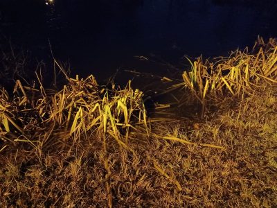 MARRASKUU