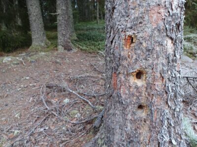 PERUSTEHTÄVÄN ÄÄRELLÄ