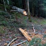 YHDESSÄ SELVITÄÄN