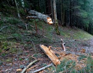 Read more about the article YHDESSÄ SELVITÄÄN