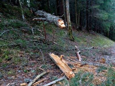 YHDESSÄ SELVITÄÄN