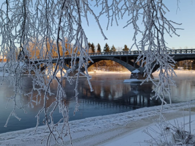 TYÖELÄMÄN IHMETTELYÄ